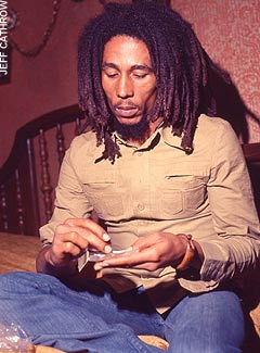 the bob marley